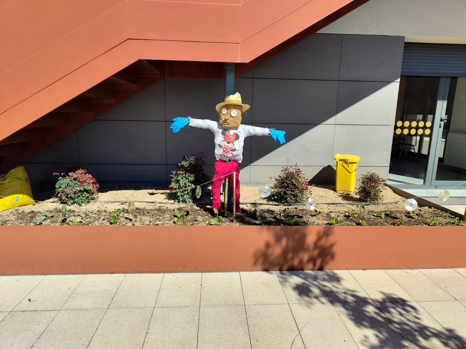 Proyecto 'La Huerta' en Tercero de Infantil del CPEIP Teresa Bertrán de Lis, Cadreita.